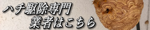 ハチ駆除専門業者はこちら