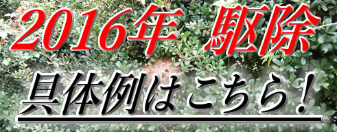 2016年駆除具体例