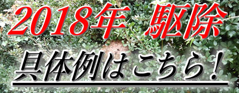 2018年駆除具体例
