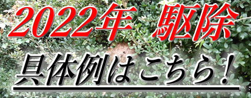 2022年駆除具体例