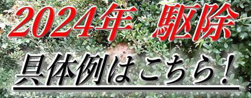 2024年駆除具体例