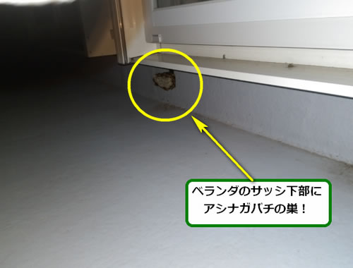 アシナガバチ駆除ベランダサッシ