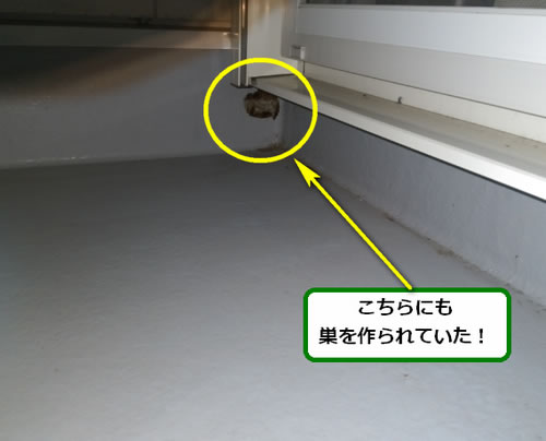 アシナガバチ駆除ベランダサッシ