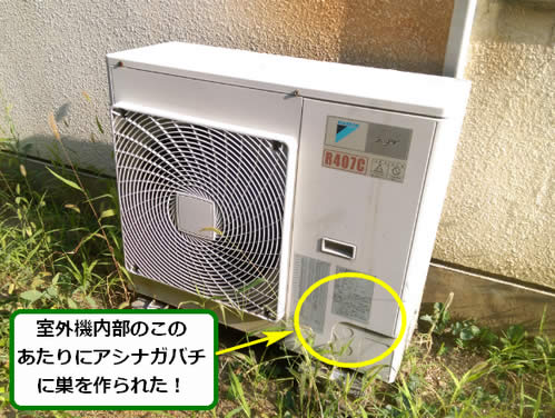 アシナガバチ駆除室外機
