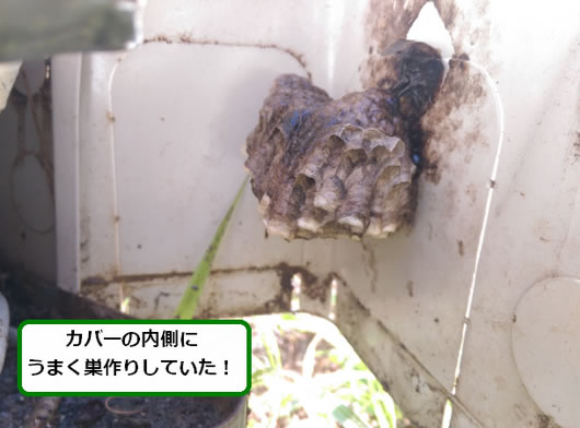 アシナガバチの巣駆除室外機