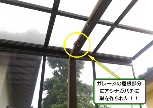 アシナガバチ駆除ガレージ
