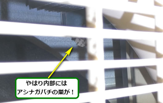 アシナガバチの巣駆除室外機