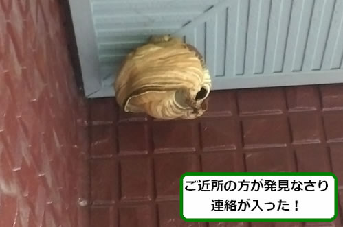 スズメバチの巣駆除二階軒下
