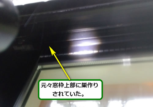 アシナガバチの巣駆除窓サッシ