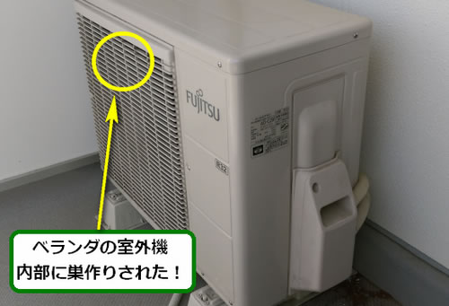 アシナガバチ駆除エアコン室外機
