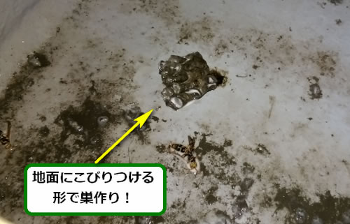 アシナガバチの巣駆除ウッドデッキ