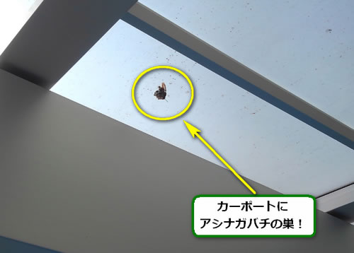 アシナガバチ駆除雨避け屋根
