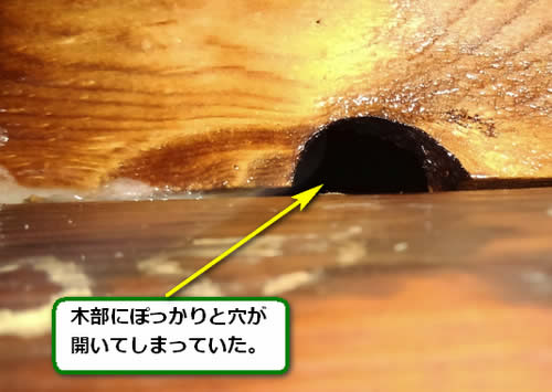 キイロスズメバチ侵入口軒下