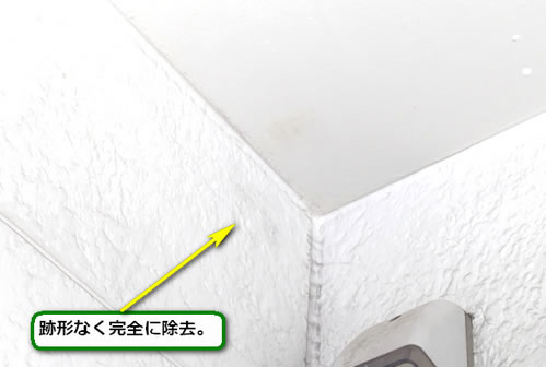 アシナガバチの巣完全撤去