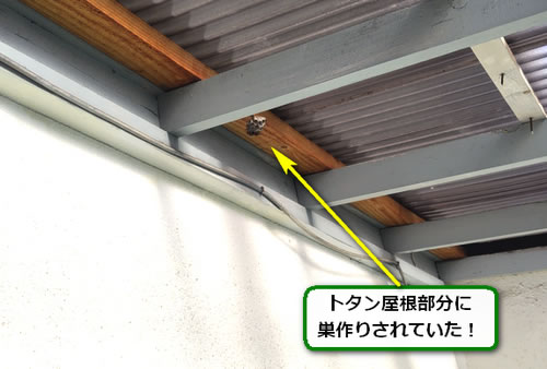 蜂の巣トタン屋根
