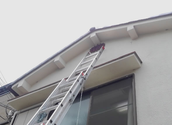 巣までの高さ例