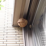 すぐに除去出来る箇所